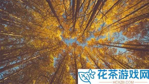 共享校霸(N)作者