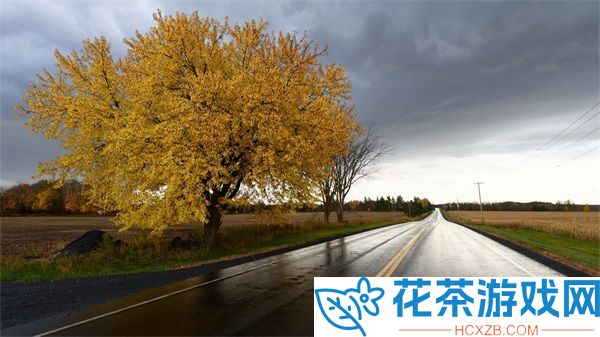 免费国外b站刺激战场直播app
