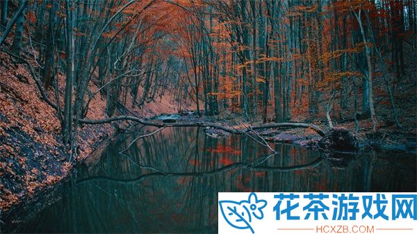 持续一周的SP惩罚期的内容要求