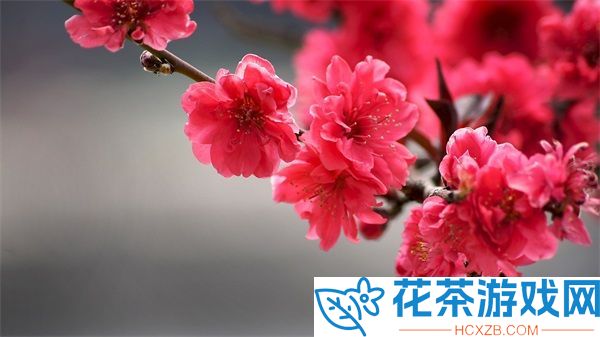 亚洲经典一曲二曲三曲