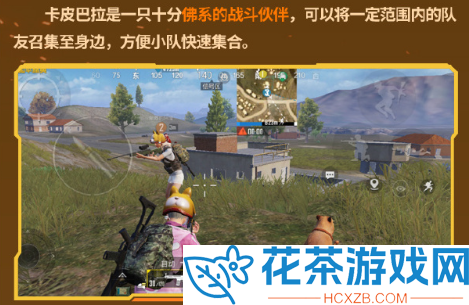 和平精英动物丛林几点更新