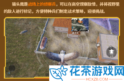 和平精英动物丛林几点更新