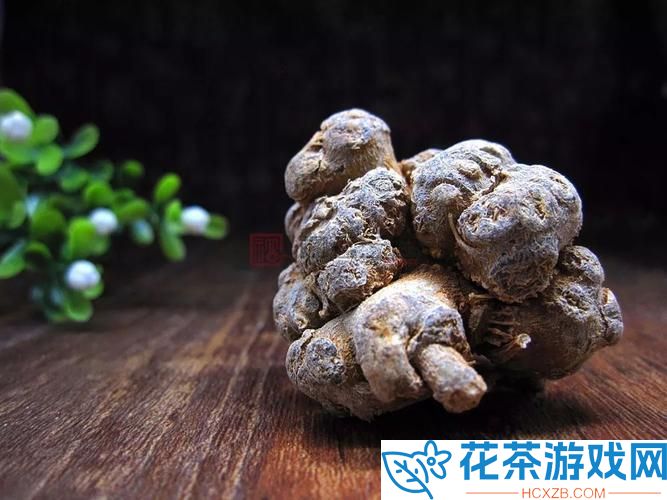 三七大但人文艺术免费