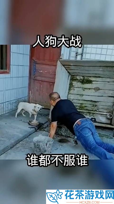 玩人狗大战