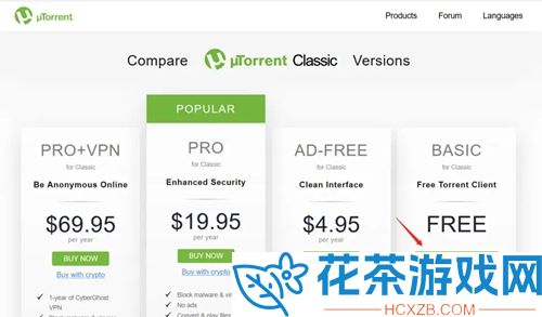 byrutor用什么下载器