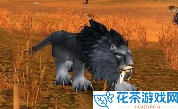 魔兽世界狮王修玛在哪里抓