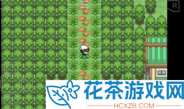 口袋妖怪究极绿宝石小智版甲贺忍蛙怎么获得