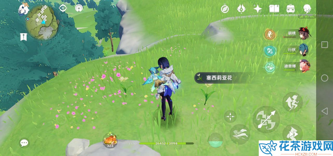 原神塞西莉娅花分布图位置详解