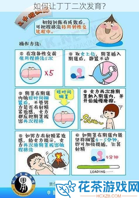 如何让丁丁二次发育？