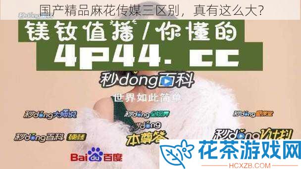 国产精品麻花传媒三区别