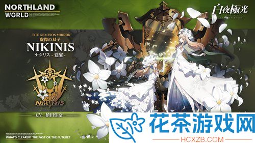 白夜极光地区怎么看怎么选攻略