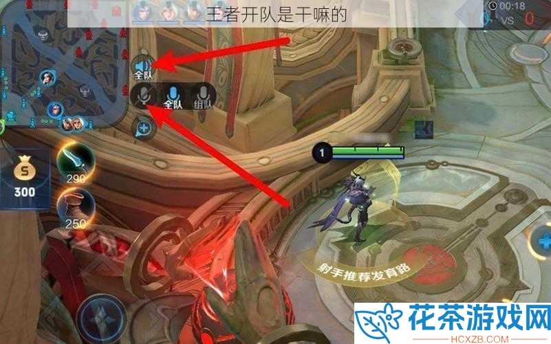 王者开队是干嘛的