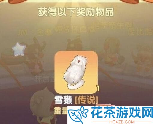 摩尔庄园新出的鱼在哪钓