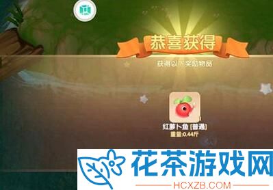 摩尔庄园新出的鱼在哪钓