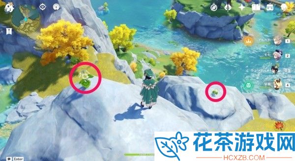原神清心在哪里