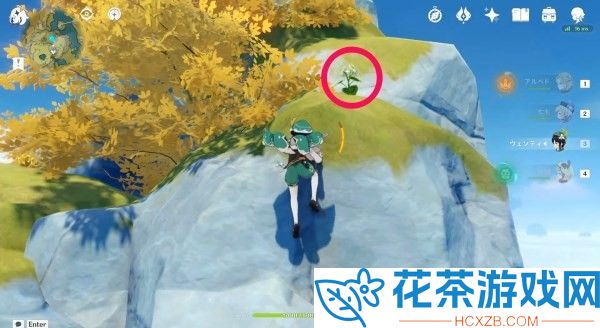 原神清心在哪里