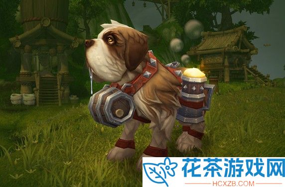 魔兽世界宠物怎么升级