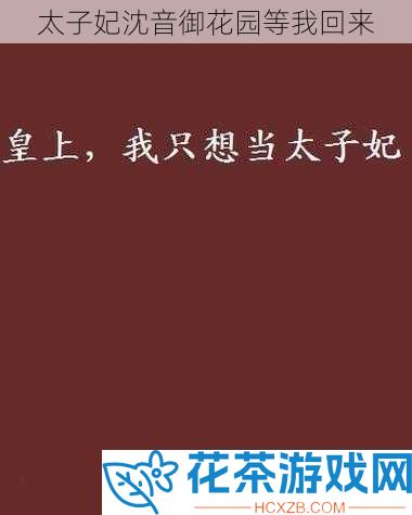 太子妃沈音御花园等我回来