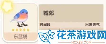 心动小镇东蓝鸲在哪