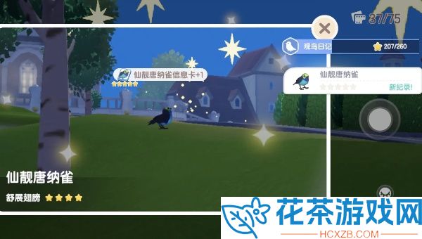 心动小镇仙靓唐纳雀在哪