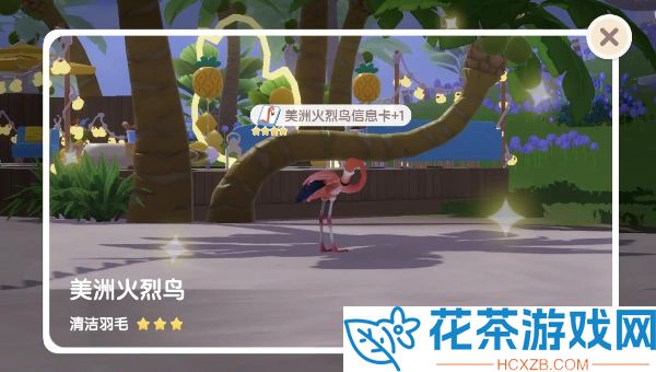 心动小镇美洲火烈鸟在哪