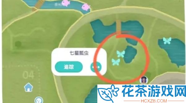 心动小镇七星瓢虫在哪刷新