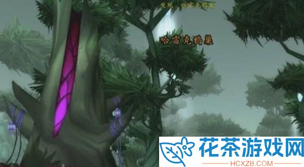 魔兽世界钳子先生的魔法龙虾盒在哪钓