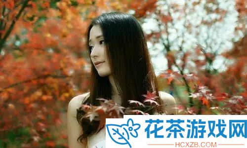 私人家庭影院3355