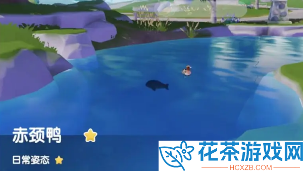 心动小镇赤颈鸭在哪