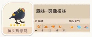 心动小镇黄头辉亭鸟在哪