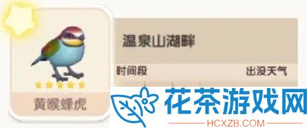 心动小镇黄喉蜂虎在哪