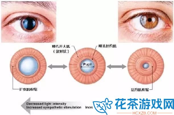 水乳交融与唇齿相依