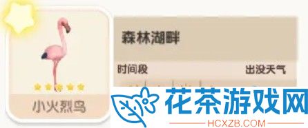 心动小镇小火烈鸟在哪