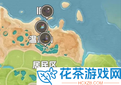 心动小镇白顶玄燕鸥在哪