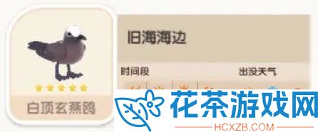 心动小镇白顶玄燕鸥在哪
