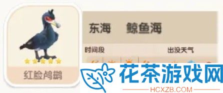心动小镇红脸鸬鹚在哪