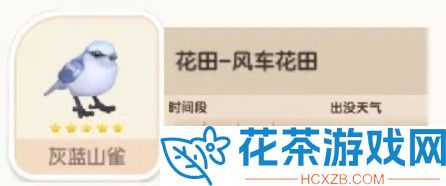 心动小镇灰蓝山雀在哪