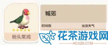 心动小镇粉头果鸠在哪