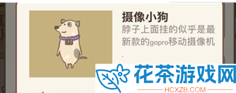 动物餐厅摄像小狗的来信1