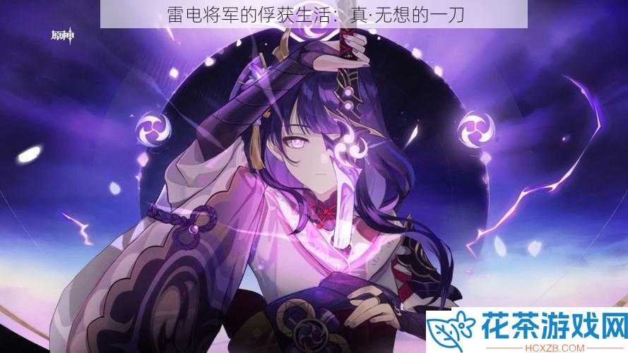 雷电将军的俘获生活