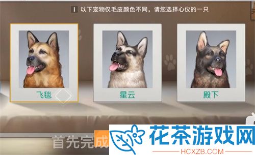 黎明觉醒宠物怎么获得「黎明觉醒宠物系统怎么解锁」
