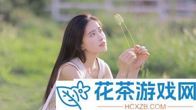 四叶草m码和欧洲码的888区别