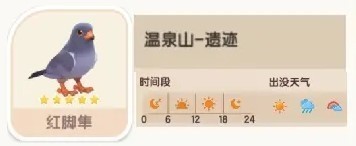 心动小镇红脚隼在哪