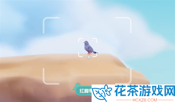 心动小镇红脚隼在哪